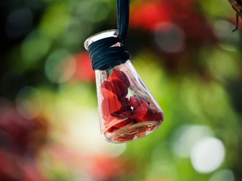 3. Ev Konuları Hesaplama Neyi Temsil Eder? Haritanın Başarı Pusulası